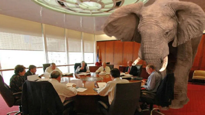 elephant-in-the-room